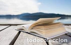 Las Siete Claves De La Curación