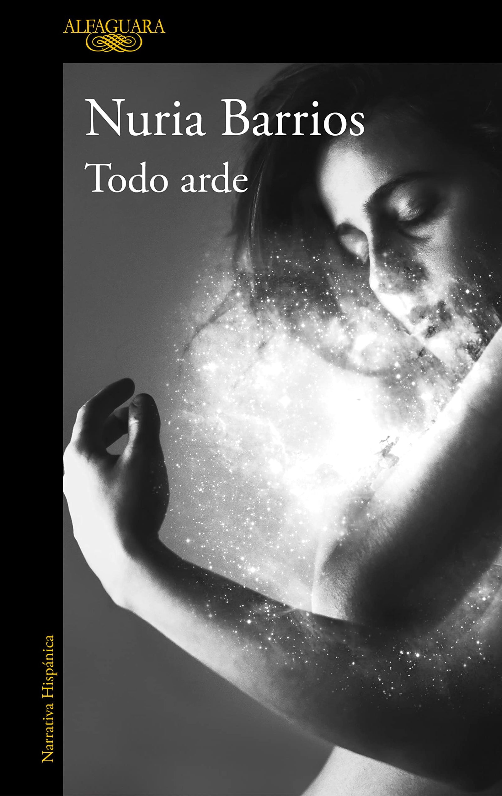 Todo arde (Alfaguara Negra)