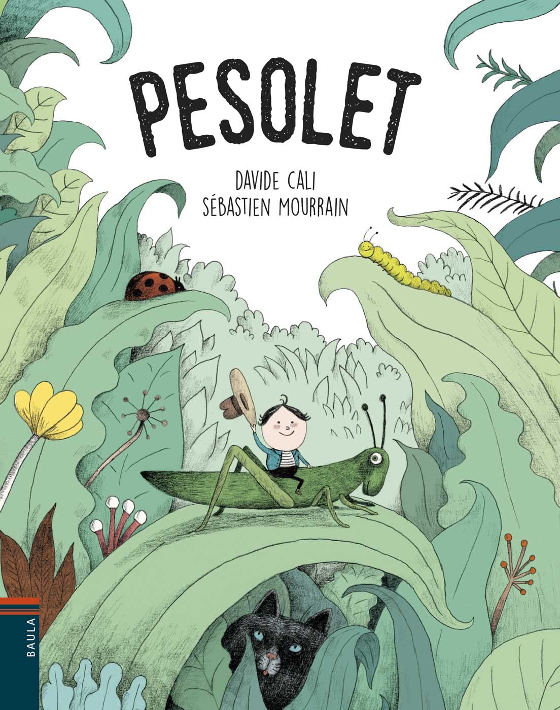 Pesolet