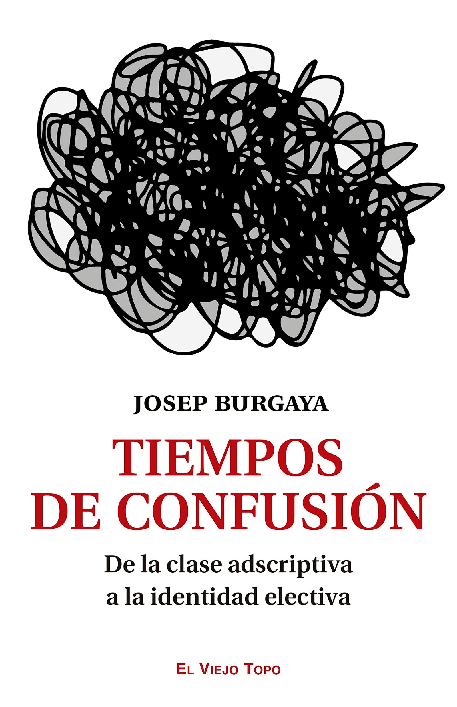 Tiempos de confusión: De la clase adscriptiva a la identidad electiva (SIN COLECCION)