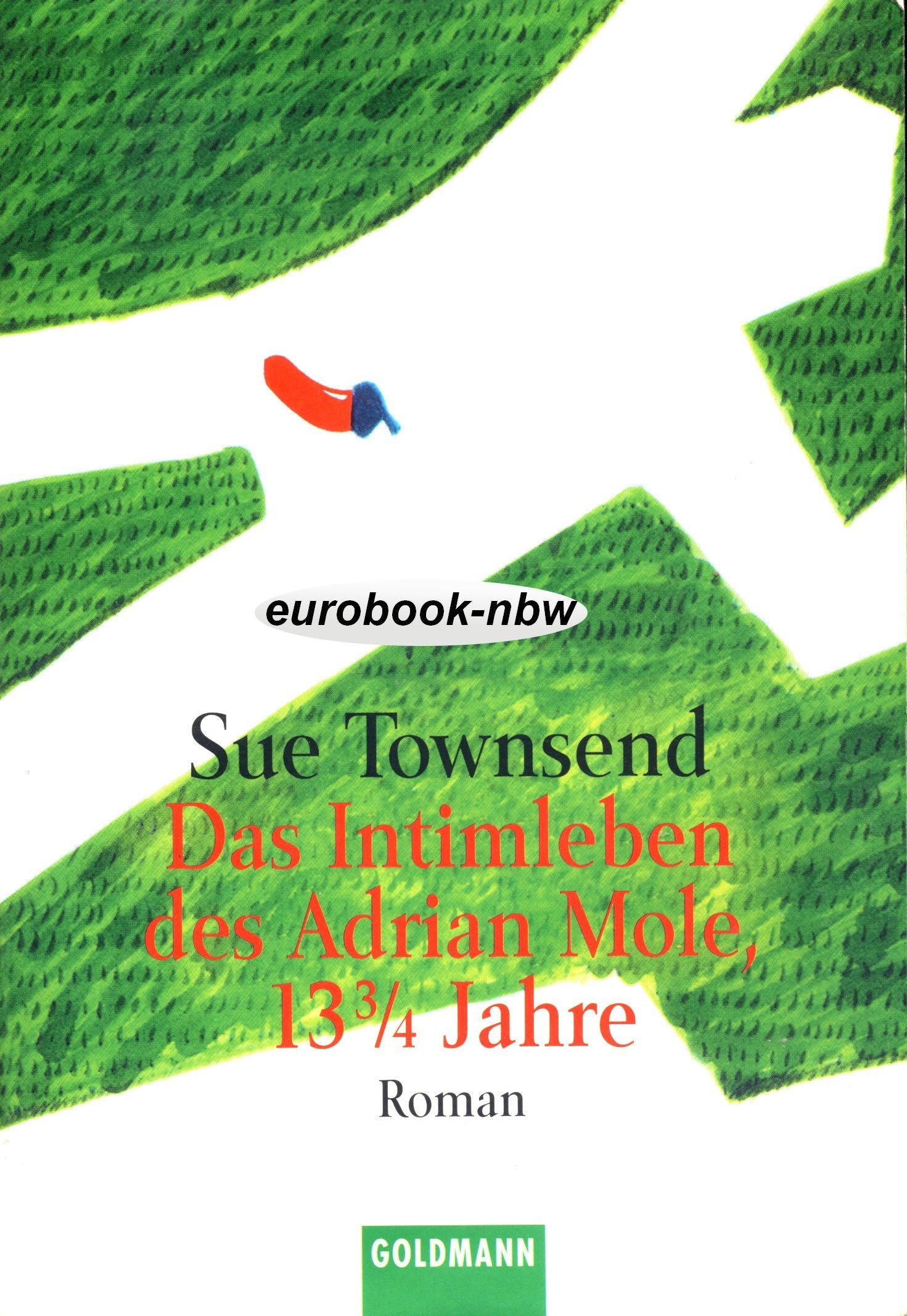 EL DIARIO SECRETO DE ADRIAN MOLE