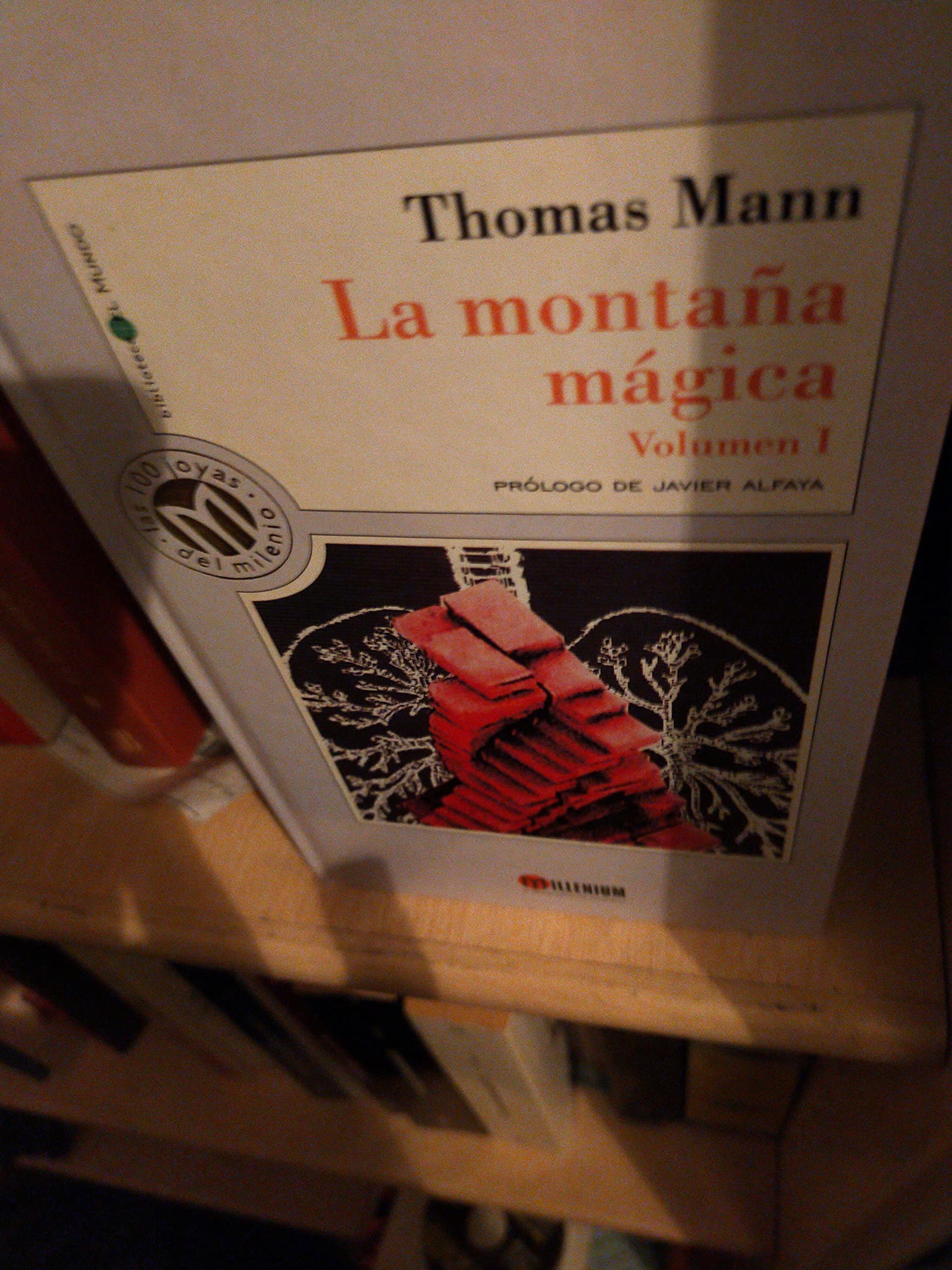 La montaña magica (2 vols)