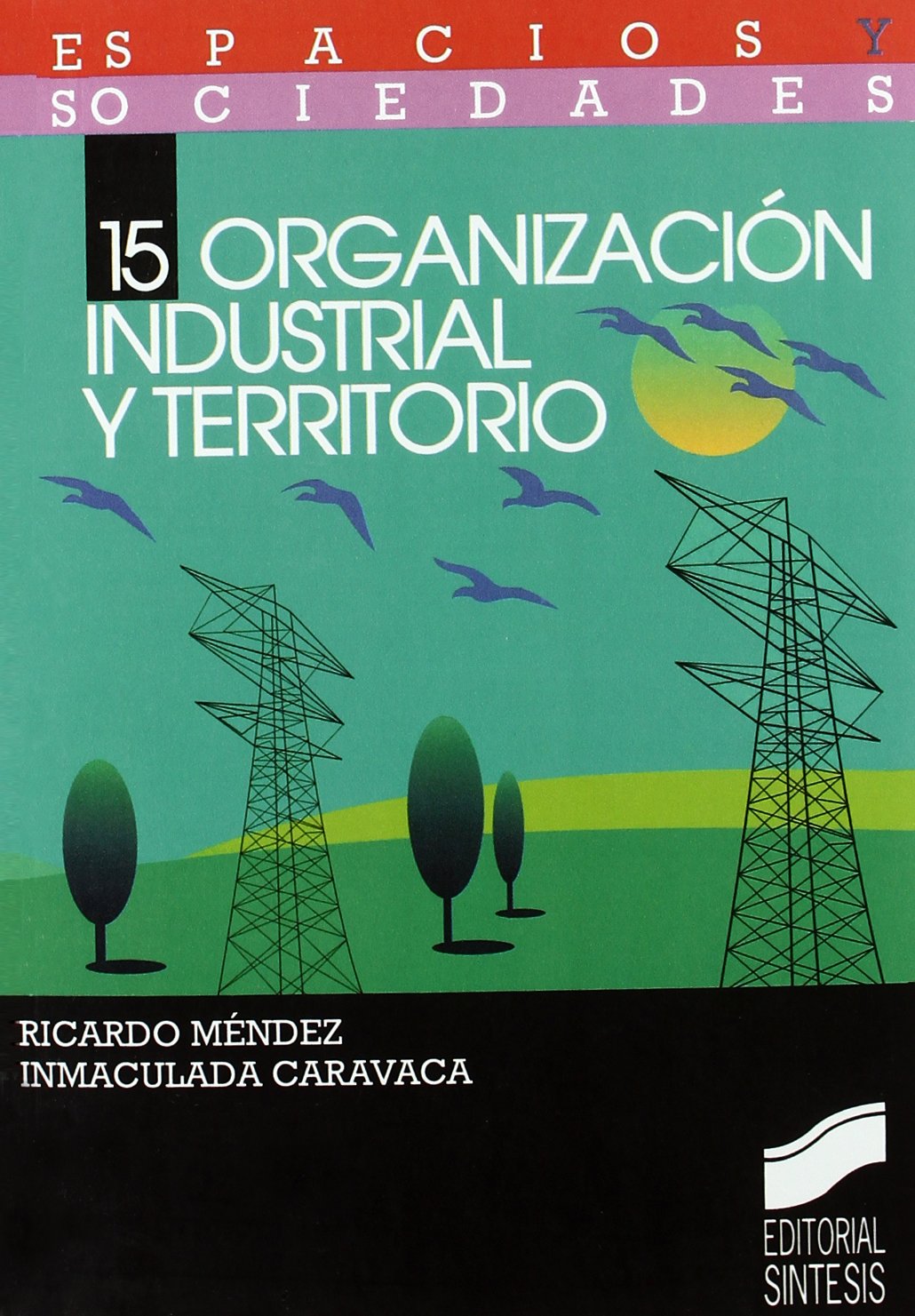 Organización industrial y territorio: 15 (Espacios y sociedades)