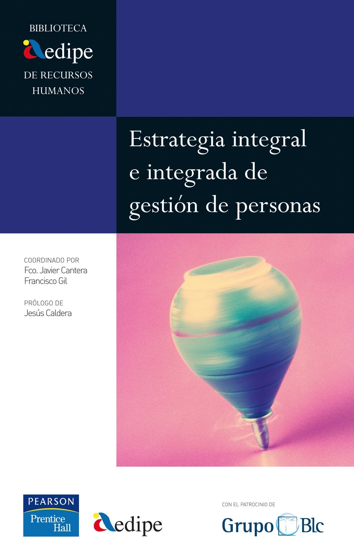 Aedipe: estrategia Integral e integrada (Biblioteca AEDIPE)