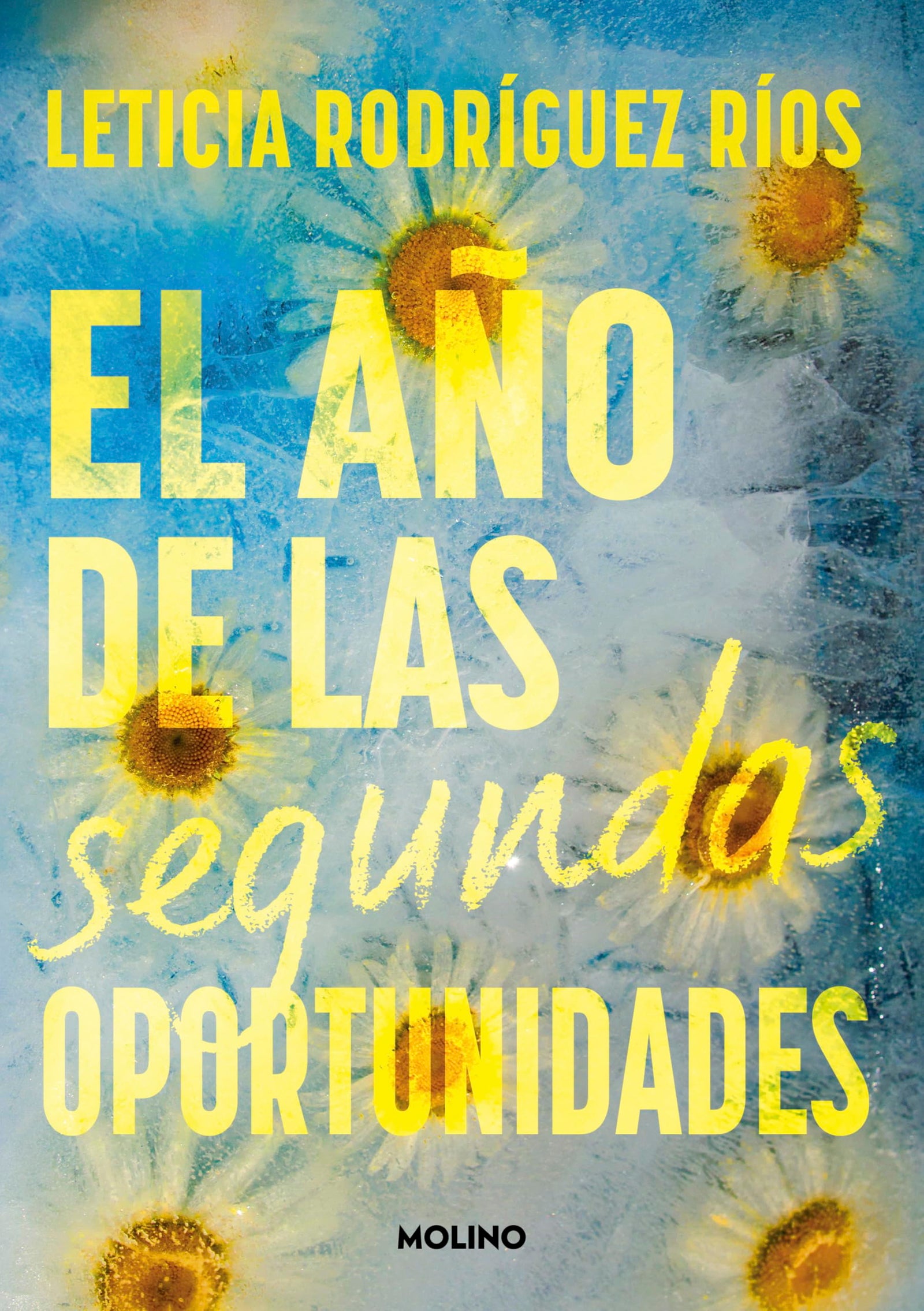 El año de las segundas oportunidades (Ficción)