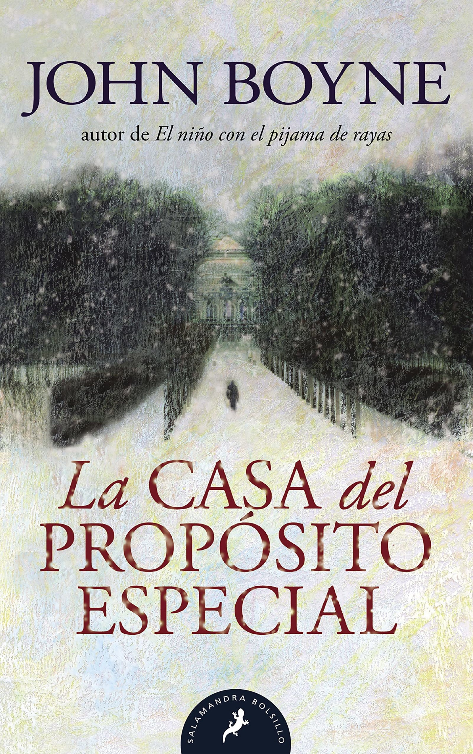 La casa del propósito especial / The House of Special Purpose