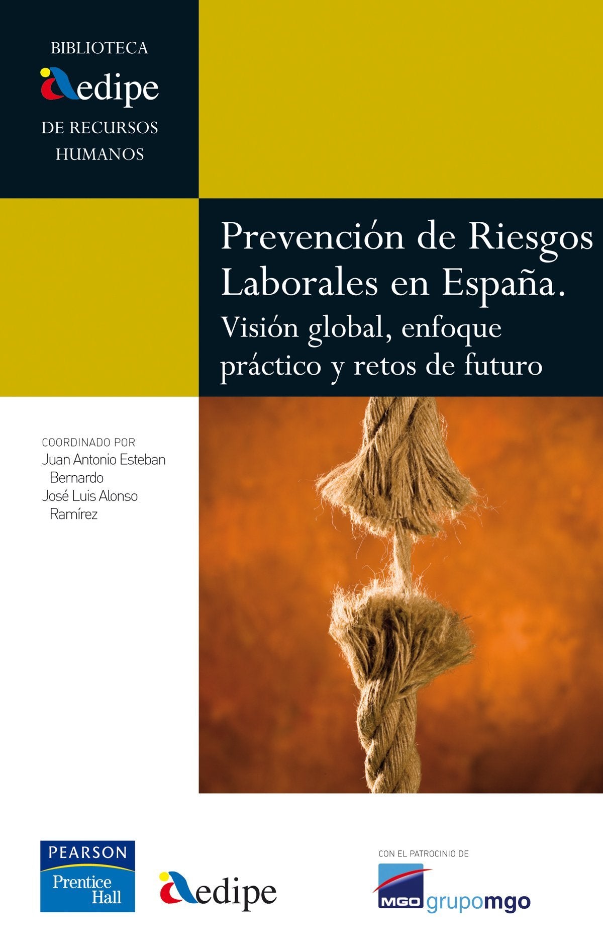 Aedipe: prevención de riesgos laborales (Biblioteca AEDIPE)