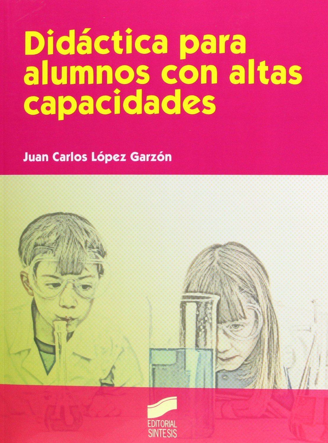 Didáctica para alumnos con altas capacidades (SIN COLECCION)