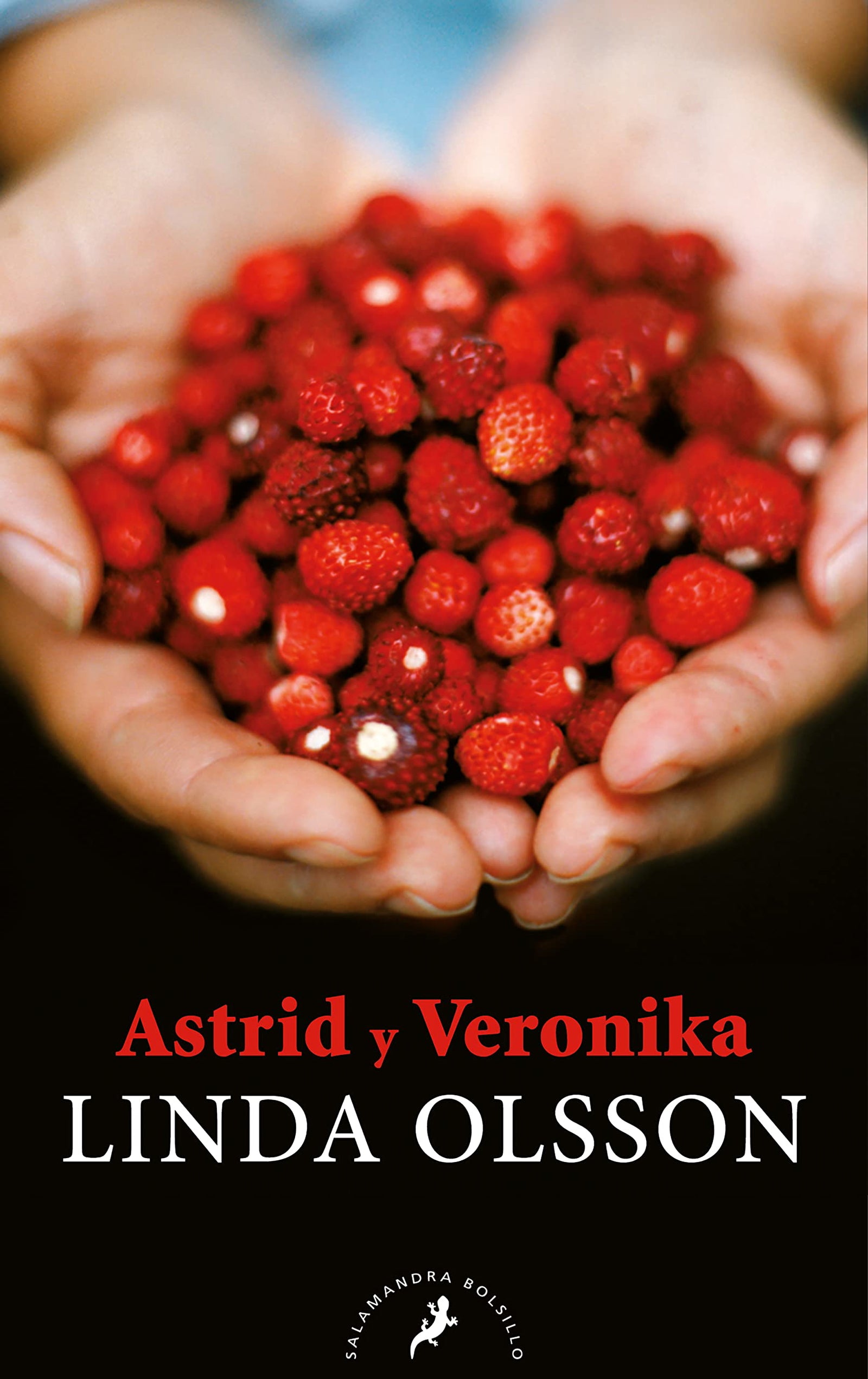 Astrid y Veronika (Salamandra Narrativa)