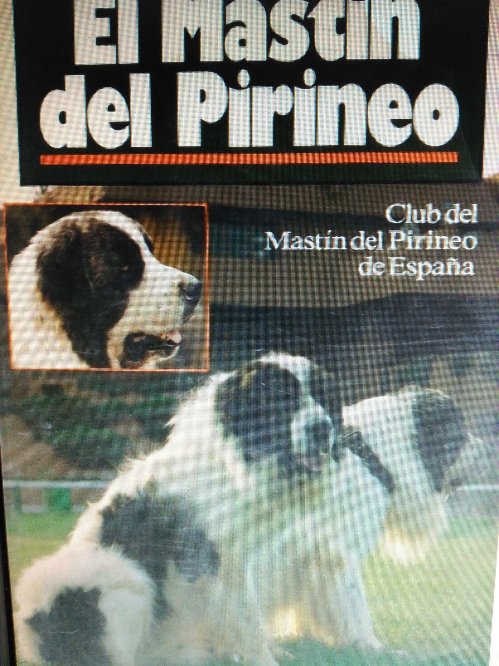 MASTIN DEL PIRINEO,EL (SALUD,YOGA,RELAJACION)