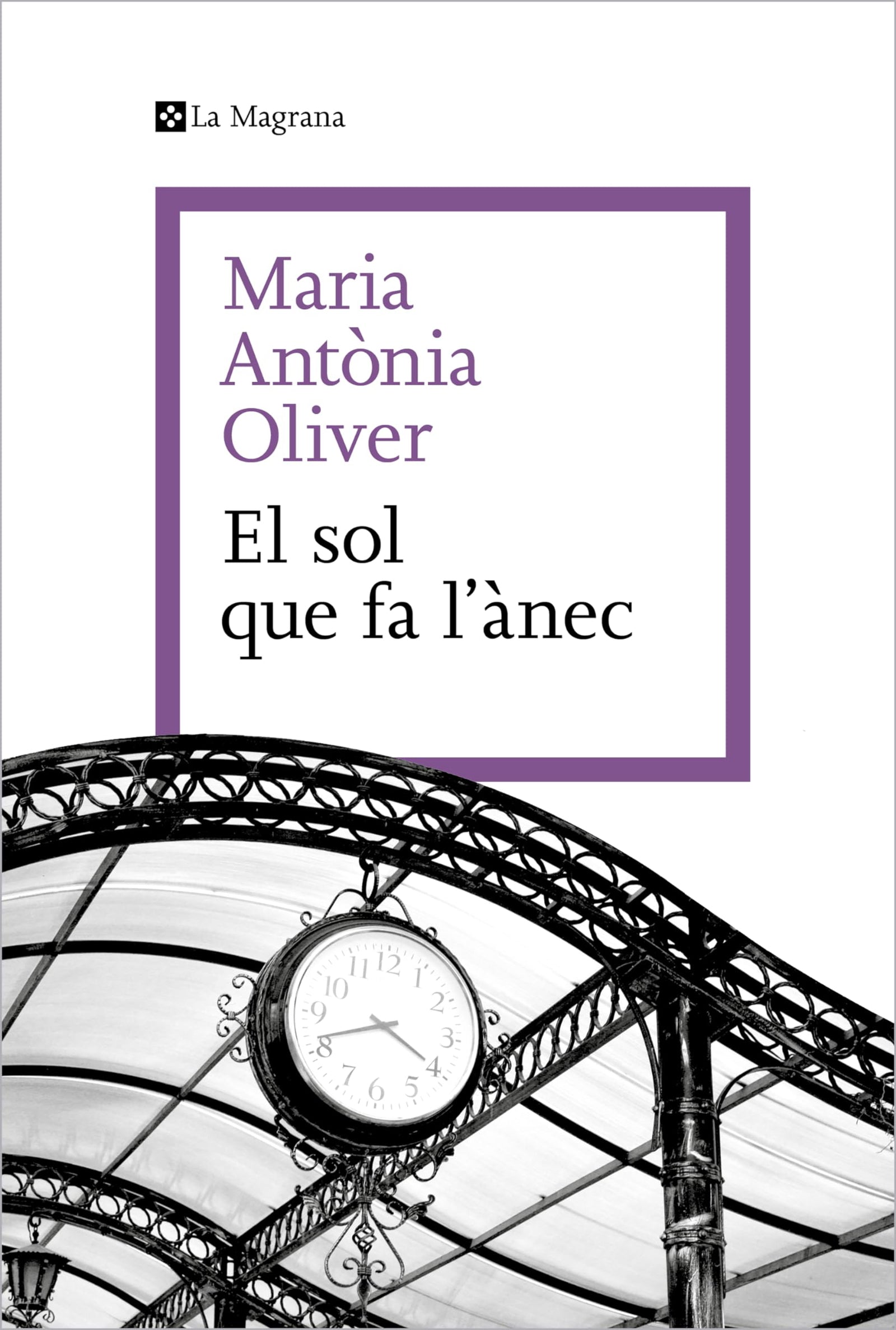 El sol que fa l'ànec (Les ales esteses)
