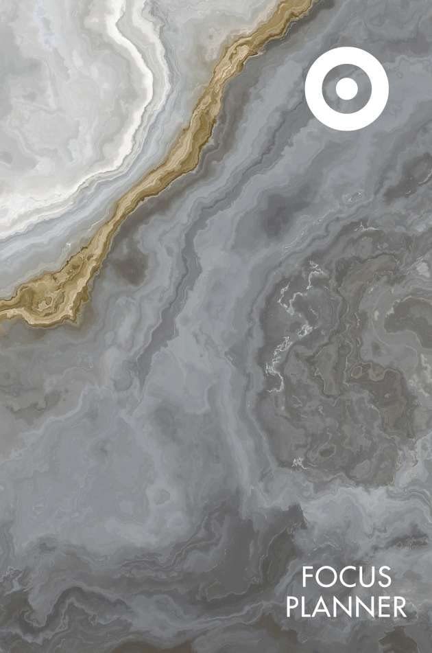 FOCUS PLANNER 2023 - GOLD