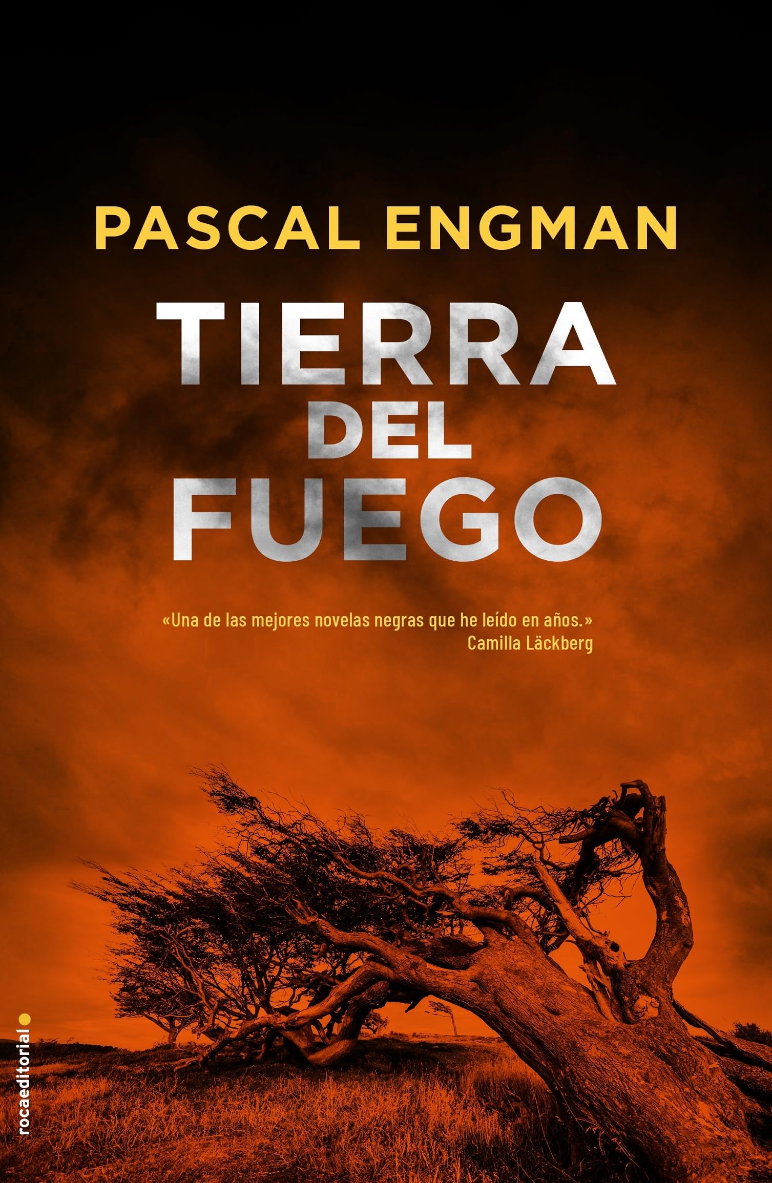 Tierra del Fuego (Serie Vanessa Frank 1) (Thriller y suspense)