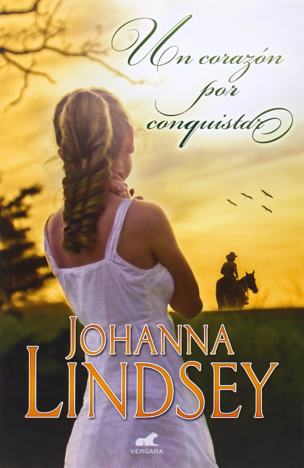 Un corazón por conquistar (Amor y aventura)