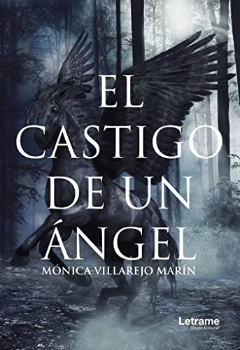El castigo de un ángel (Novela)