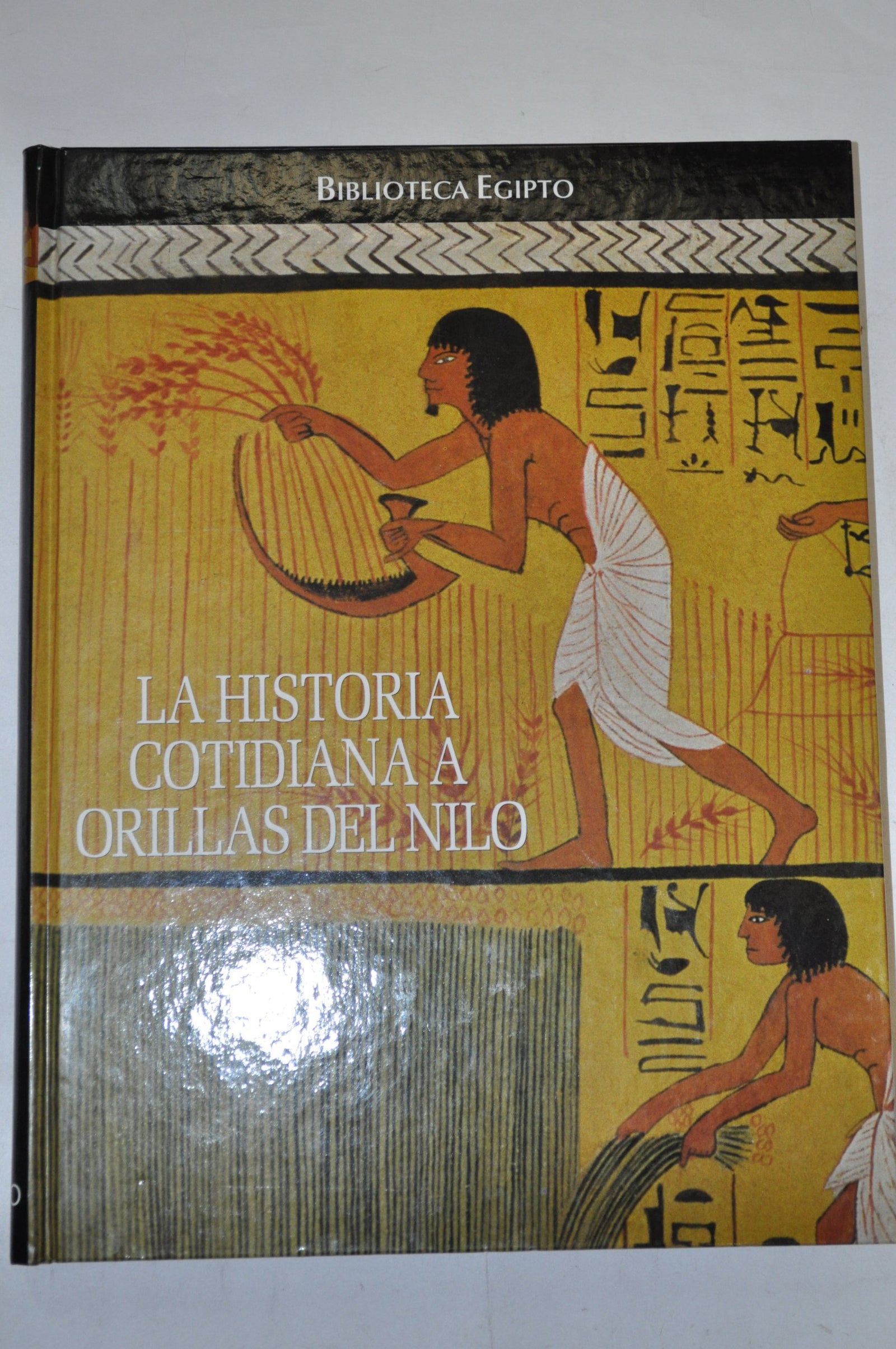 Biblioteca de Egipto. Historia cotidiana a orilla del Nilo (Biblioteca Egipto)