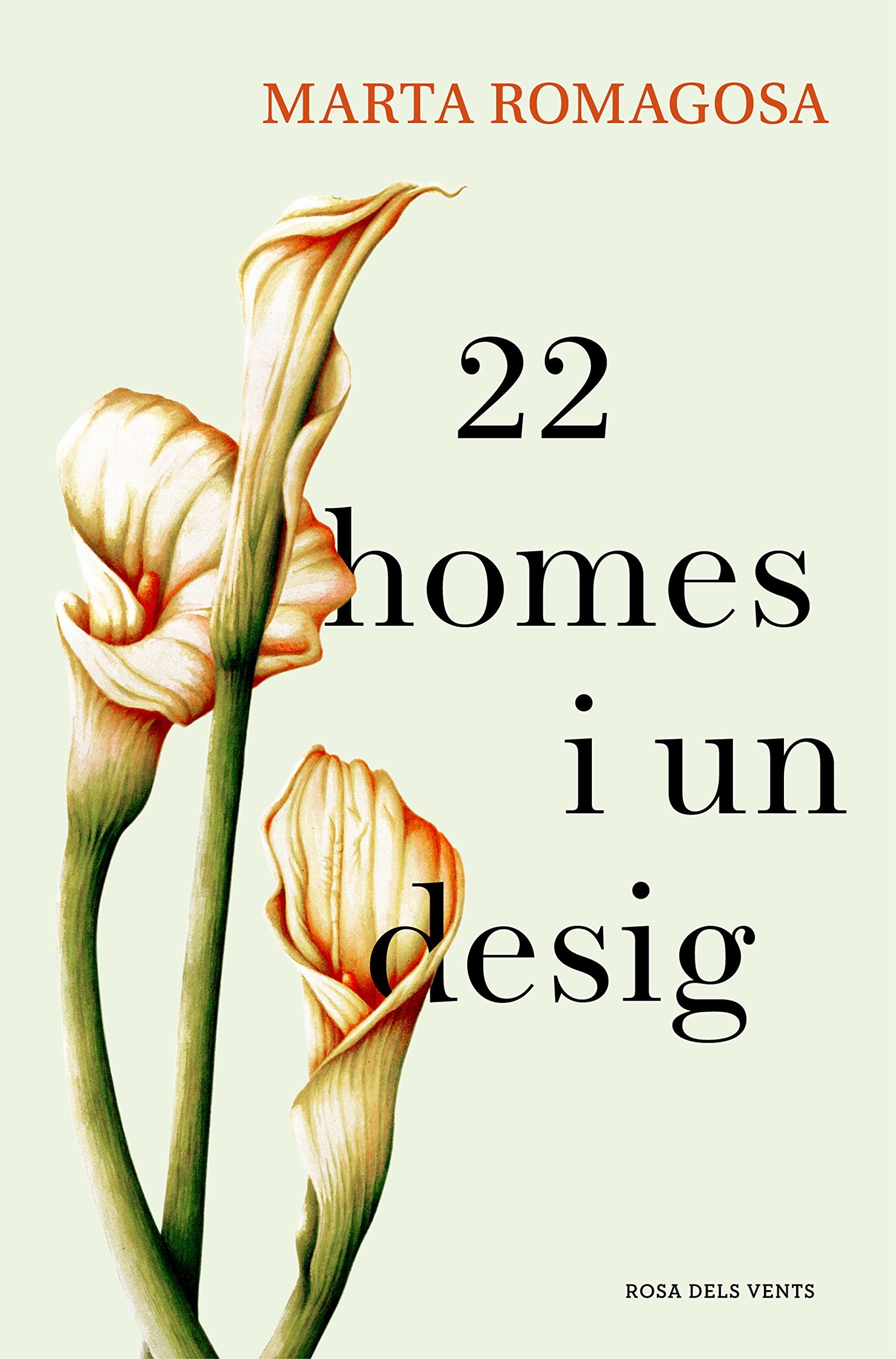22 homes i un desig (Narrativa catalana)