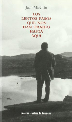 Los lentos pasos que nos han traído hasta aquí (Caminos del bosque)
