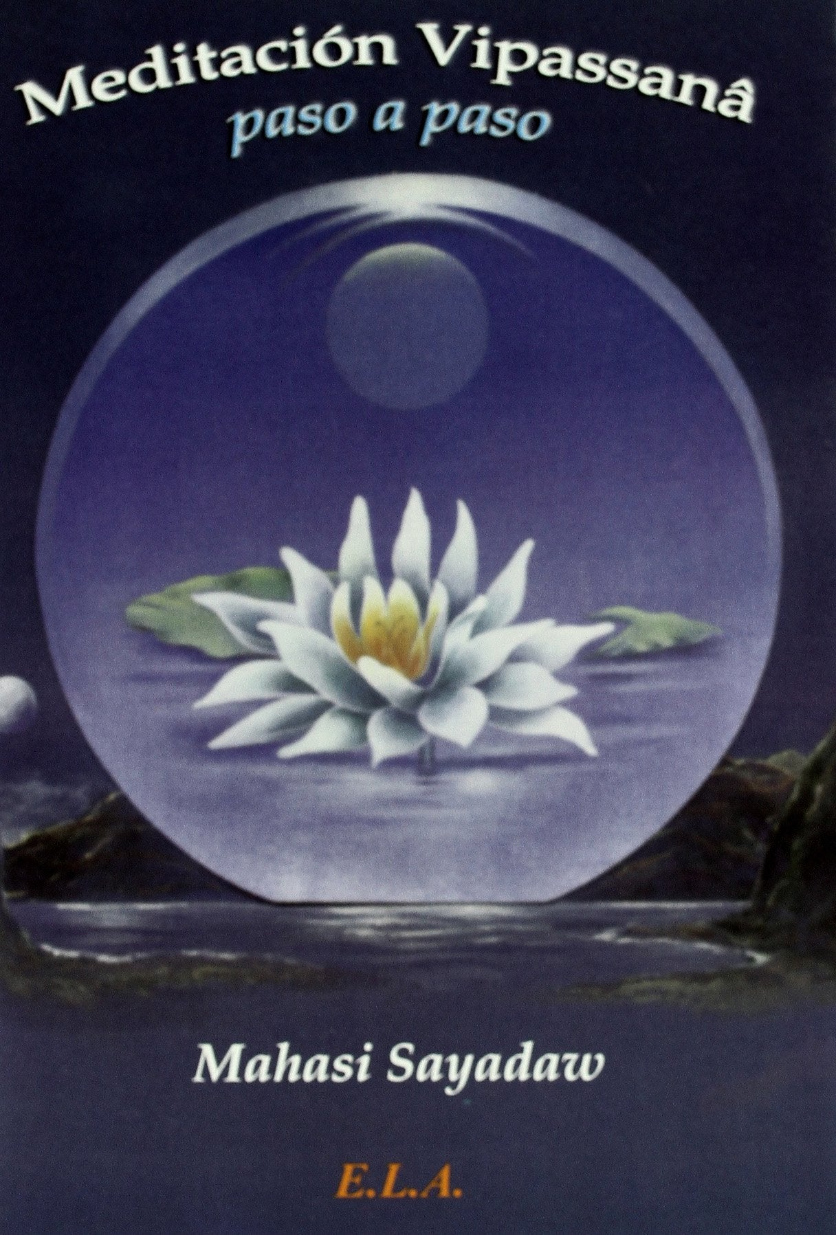 Meditacion vipassana paso a paso (SIN COLECCION)