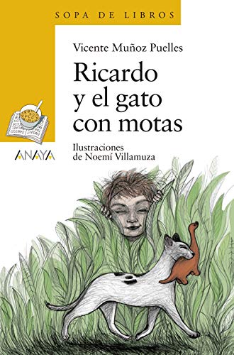 Ricardo y el gato con motas (LITERATURA INFANTIL - Sopa de Libros)
