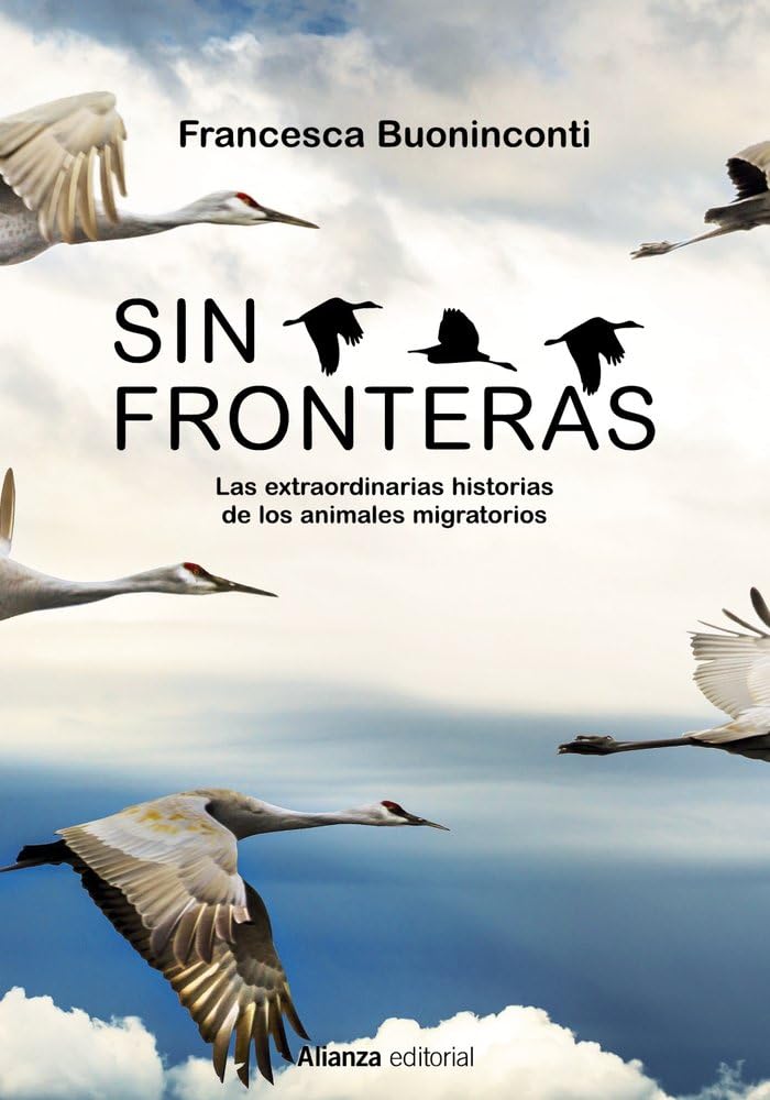 Sin fronteras: La extraordinaria historia de los animales migratorios: 960 (Libros Singulares (LS))