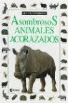 ASOMBROSOS ANIMALES ACORAZADOS (ASOMBROSOS OSOS)