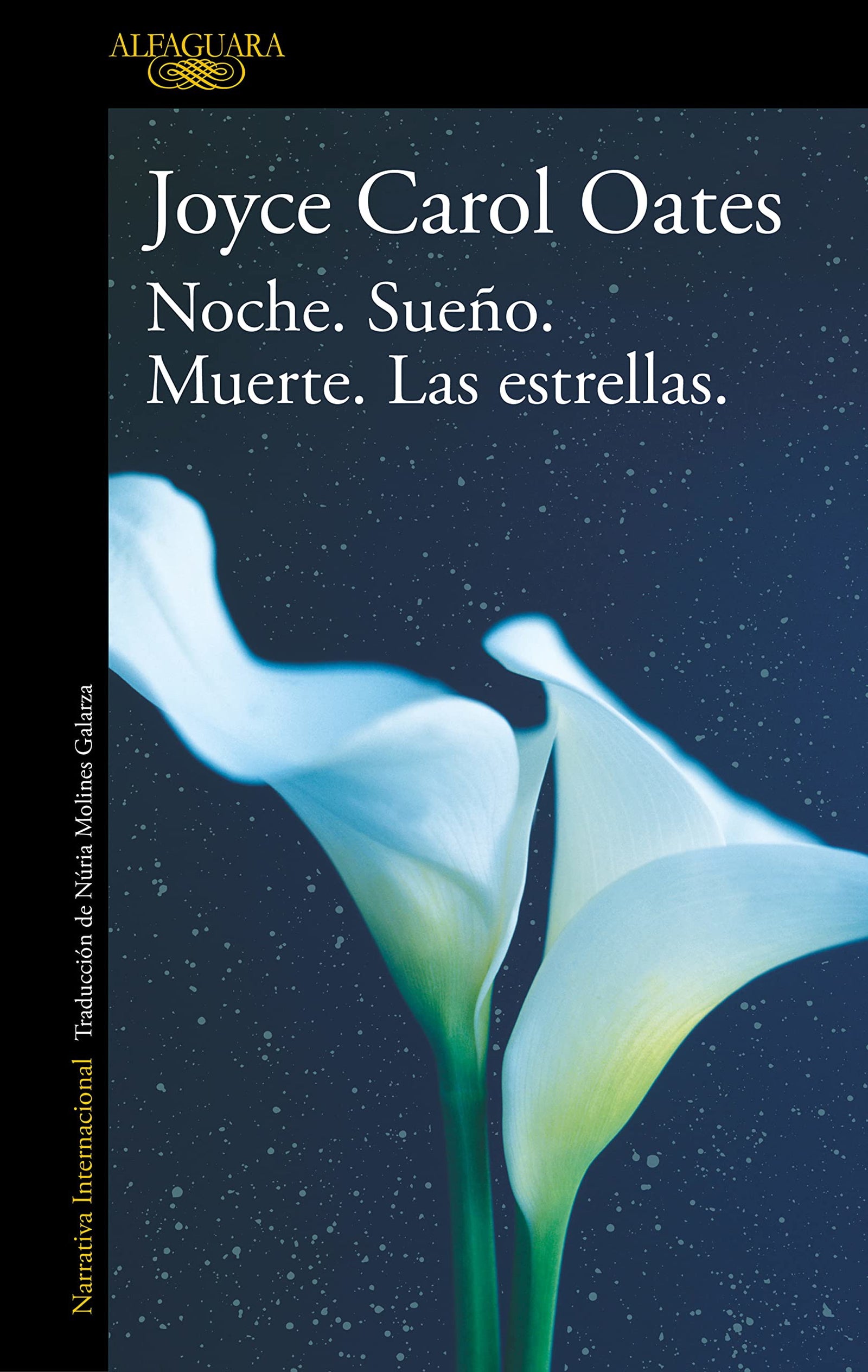Noche. Sueño. Muerte. Las estrellas. (Literaturas)