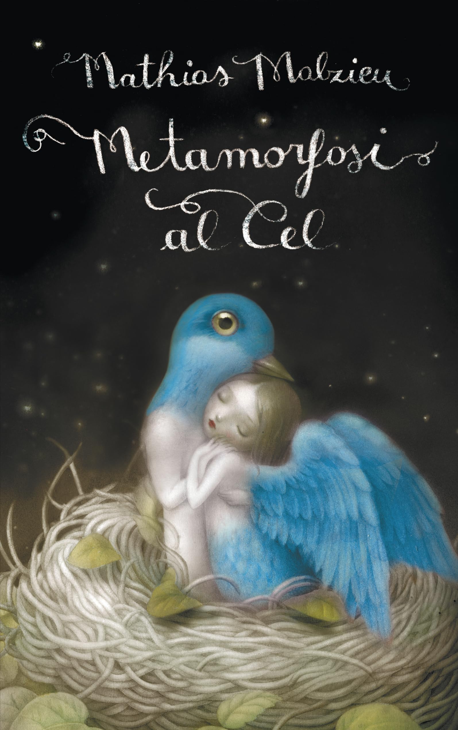 Metamorfosi al cel (Reservoir Narrativa)