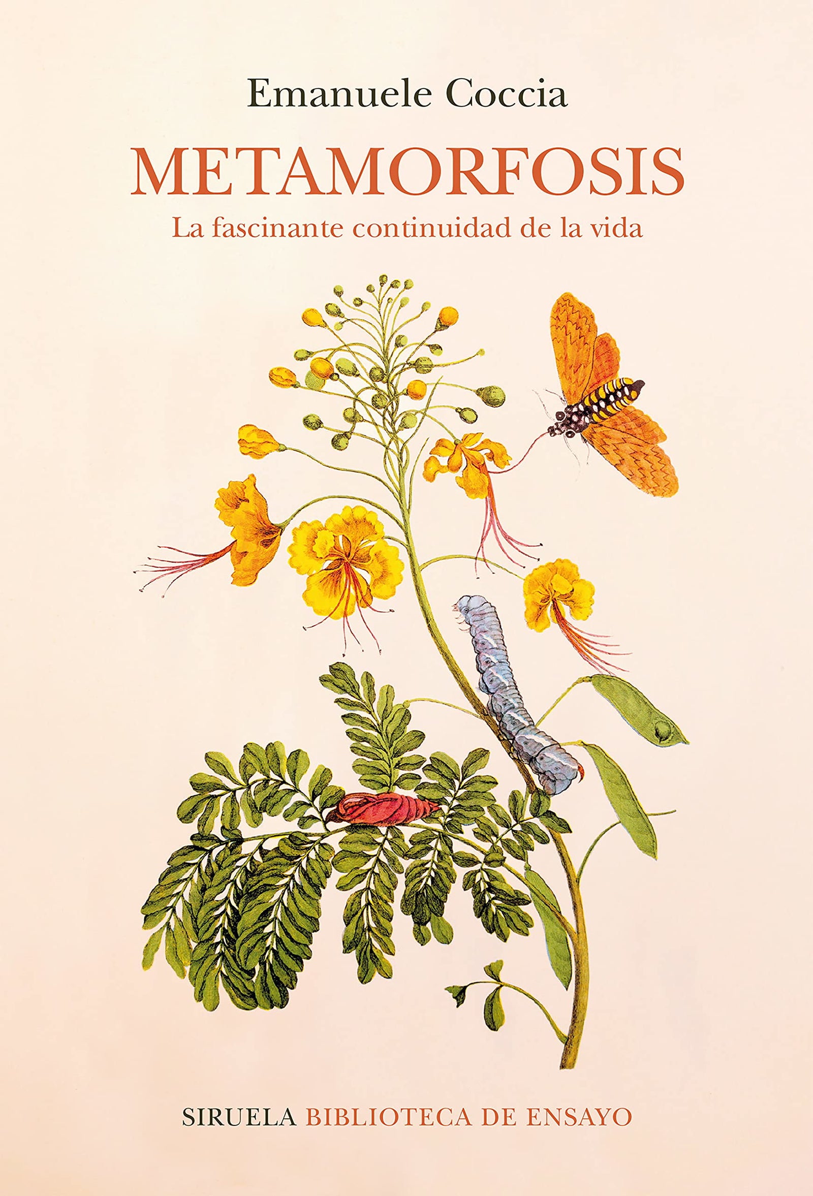 Metamorfosis: La fascinante continuidad de la vida: 121 (Biblioteca de Ensayo / Serie mayor)