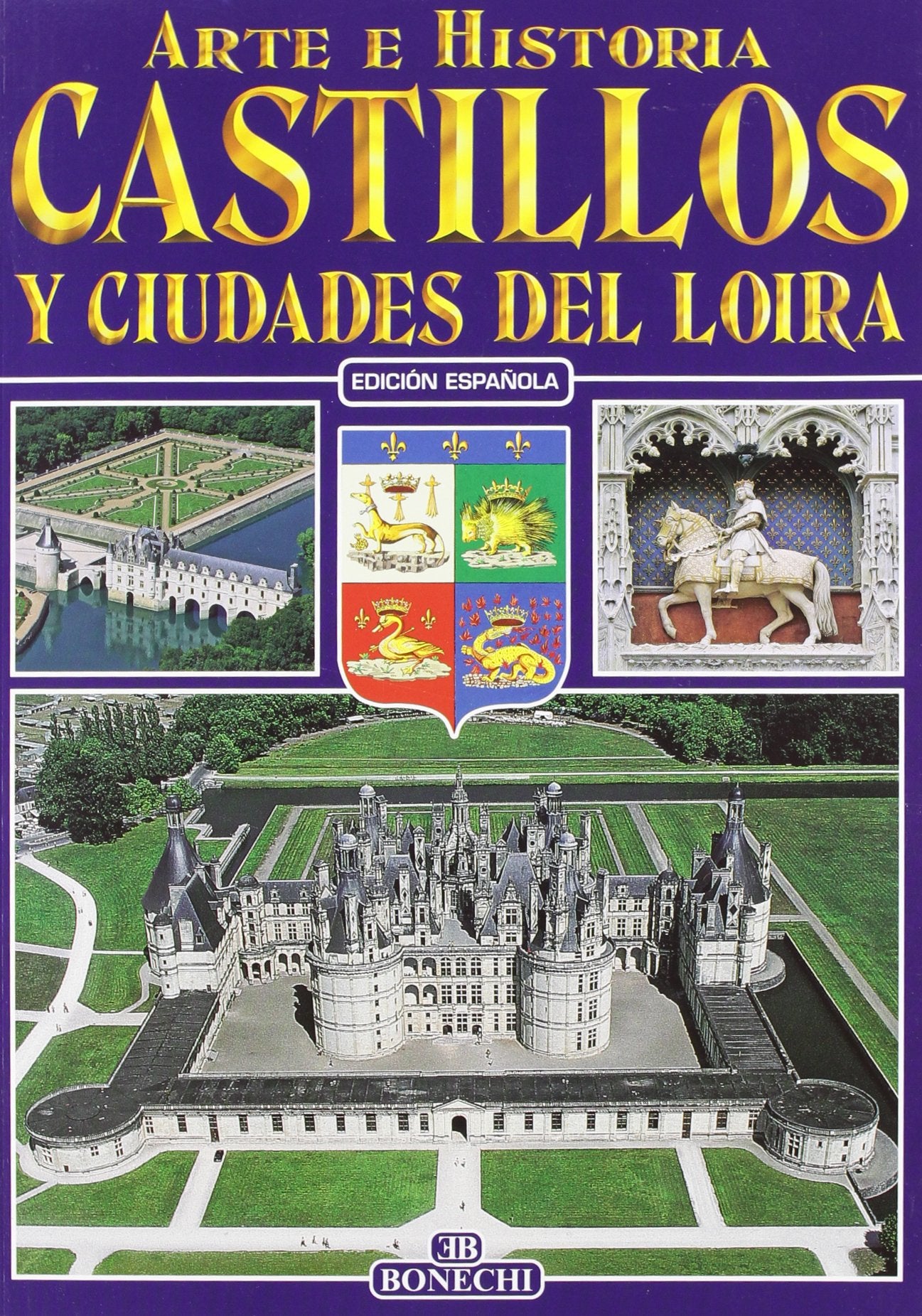 Castelli e città della Loira. Ediz. spagnola (Arte e storia)
