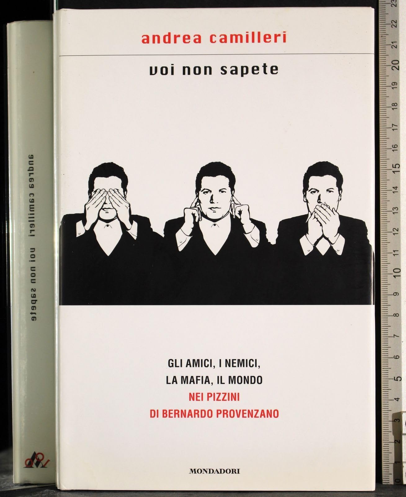 Voi non sapete. Gli amici, i nemici, la mafia, il mondo nei pizzini di Bernardo Provenzano (Scrittori italiani e stranieri)