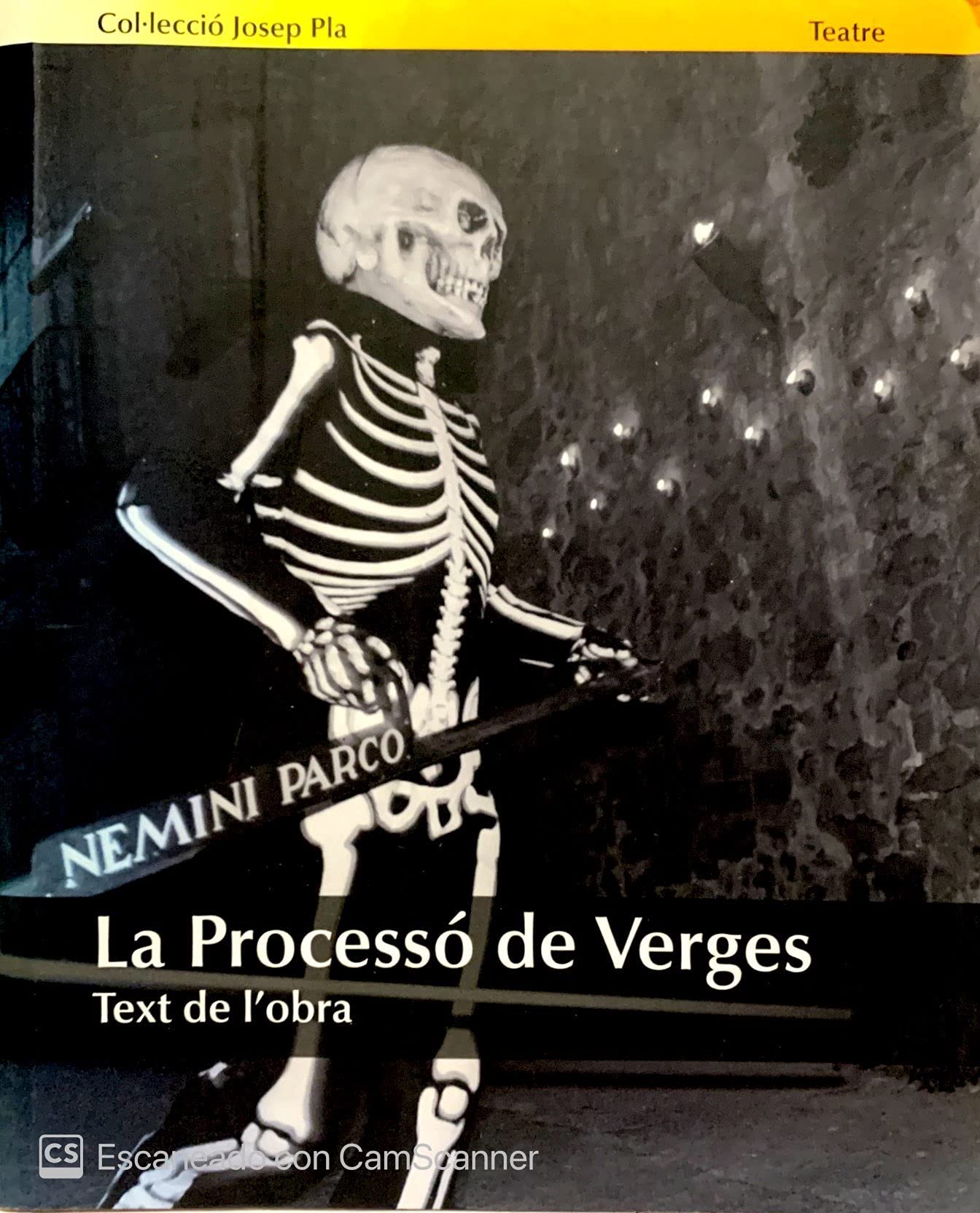 LA PROCESSO DE VERGES. Text de l'obra