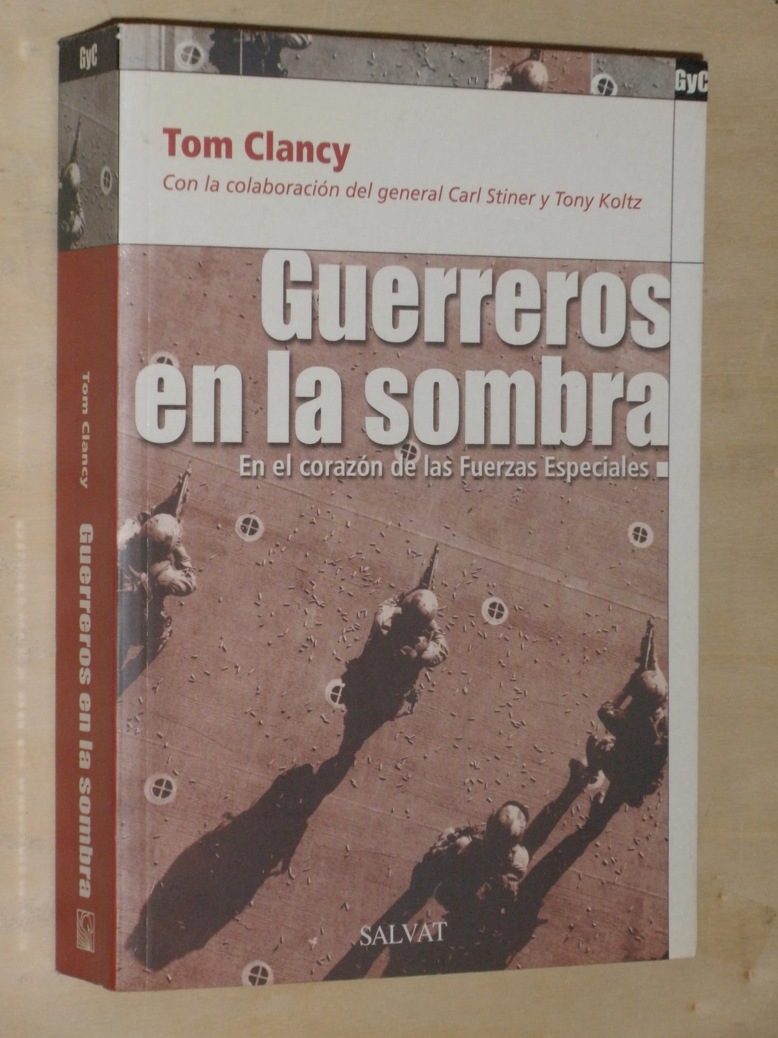 GUERREROS EN LA SOMBRA (SIN COLECCION)