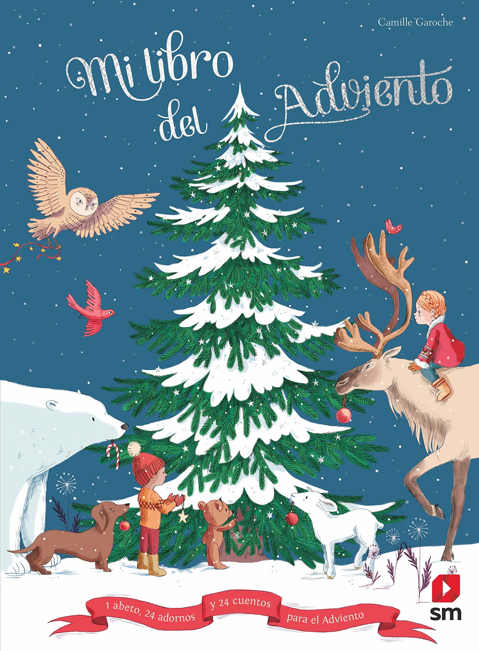 El libro del Adviento (SIN COLECCION)