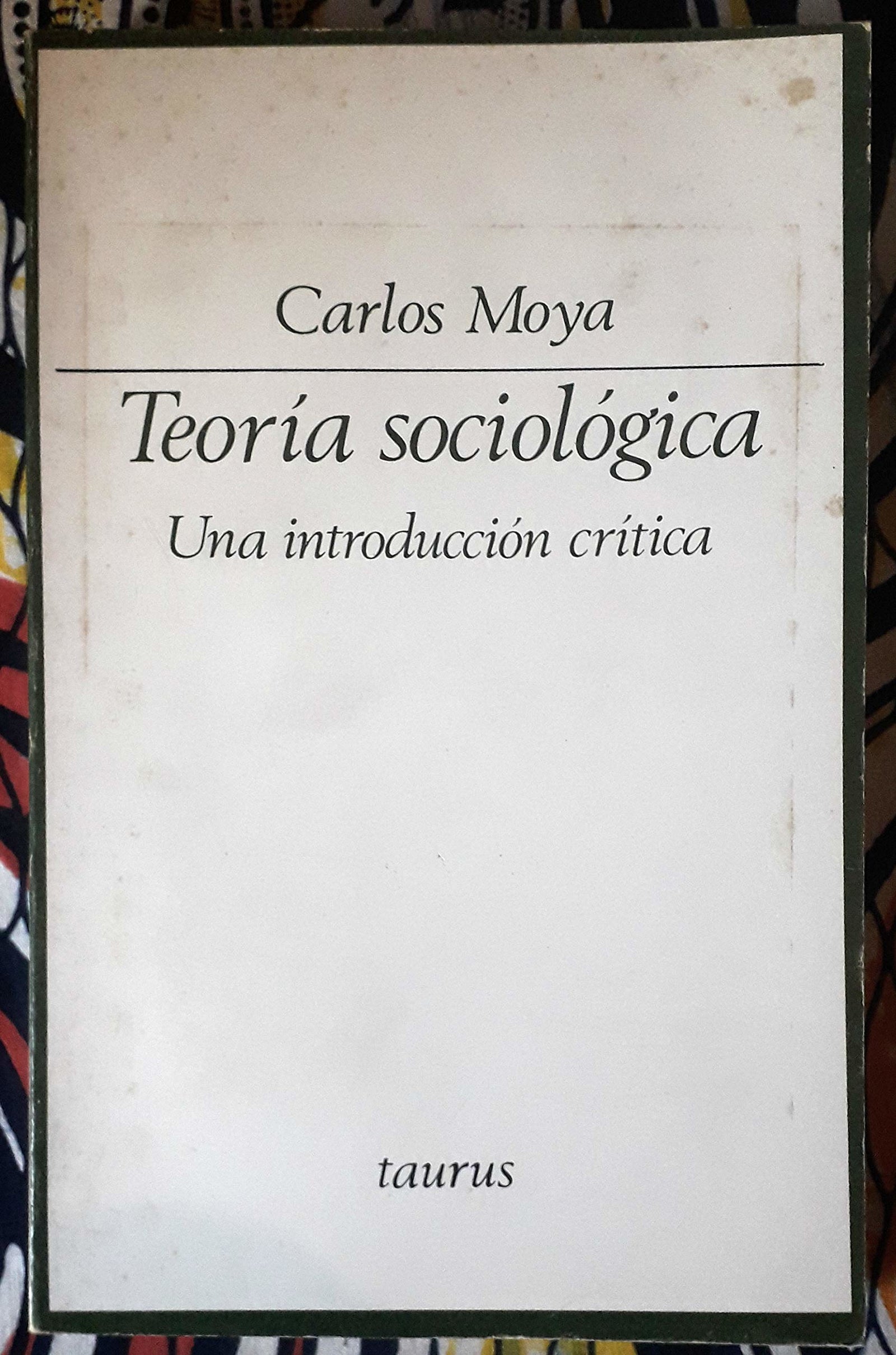 Teoria sociologica : una introduccion critica