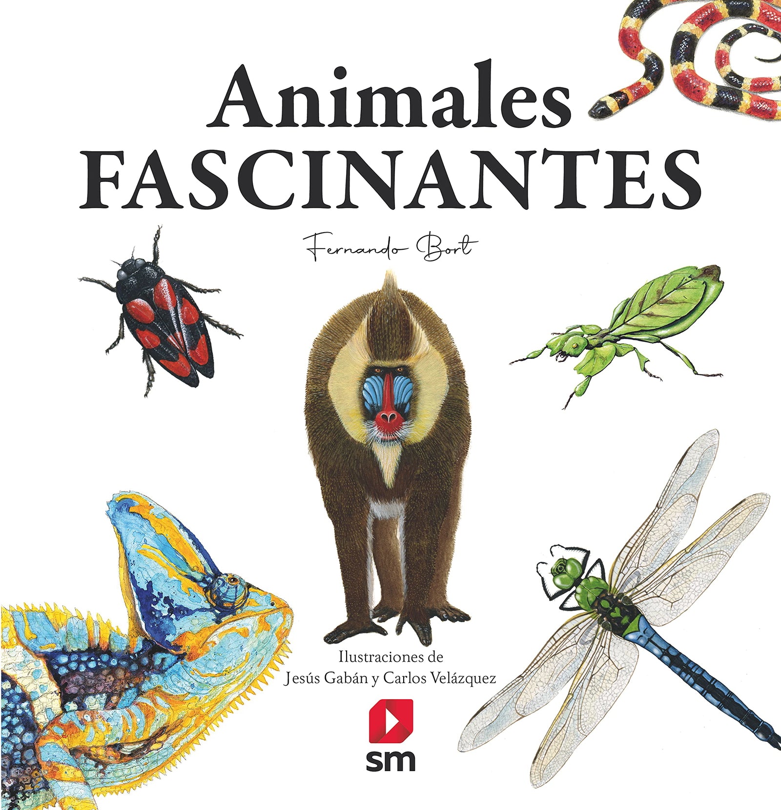 Animales fascinantes (Fuera de Colección)