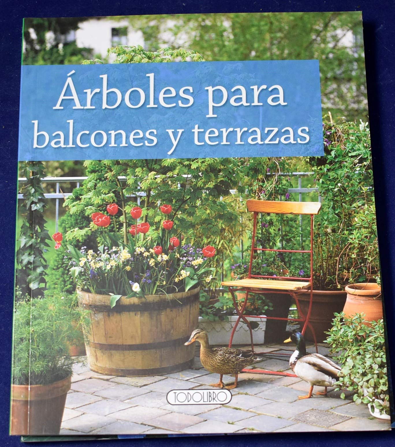 Arboles para balcones/terrazas
