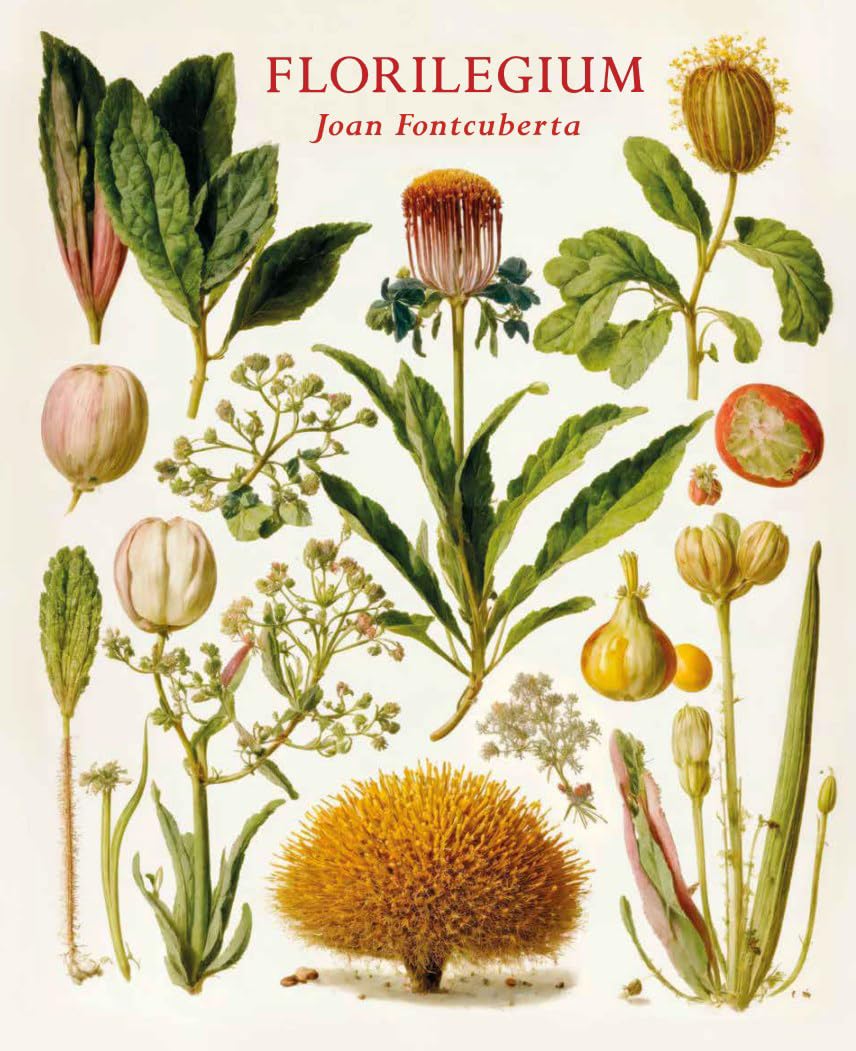 Florilegium (MUSEO UNIVERSIDAD DE NAVARRA)