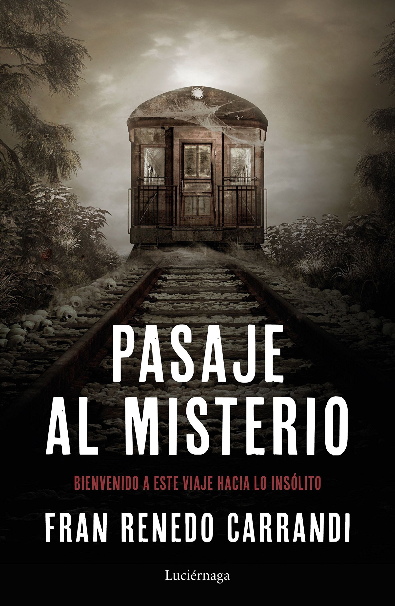 Pasaje al misterio: Un viaje hacia lo insólito (ENIGMAS Y CONSPIRACIONES)