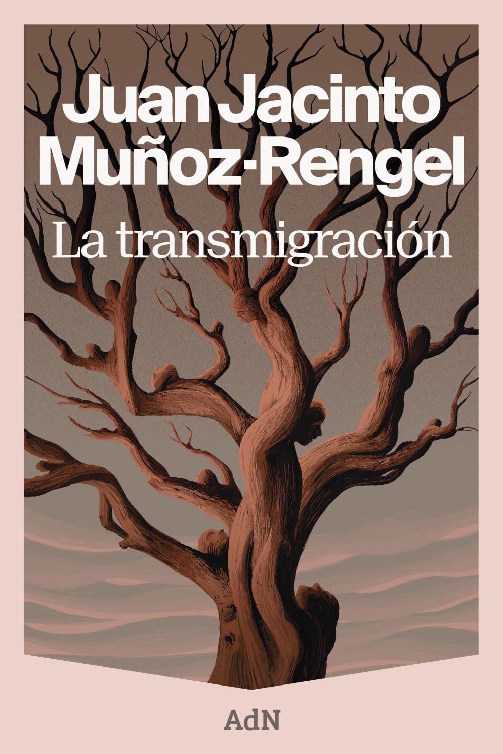La transmigración (AdN Editorial Grupo Anaya)