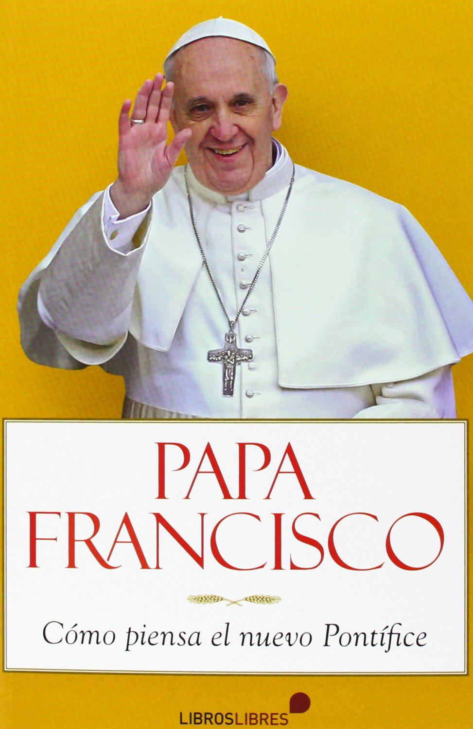 Papa Francisco: Cómo piensa el nuevo Pontífice
