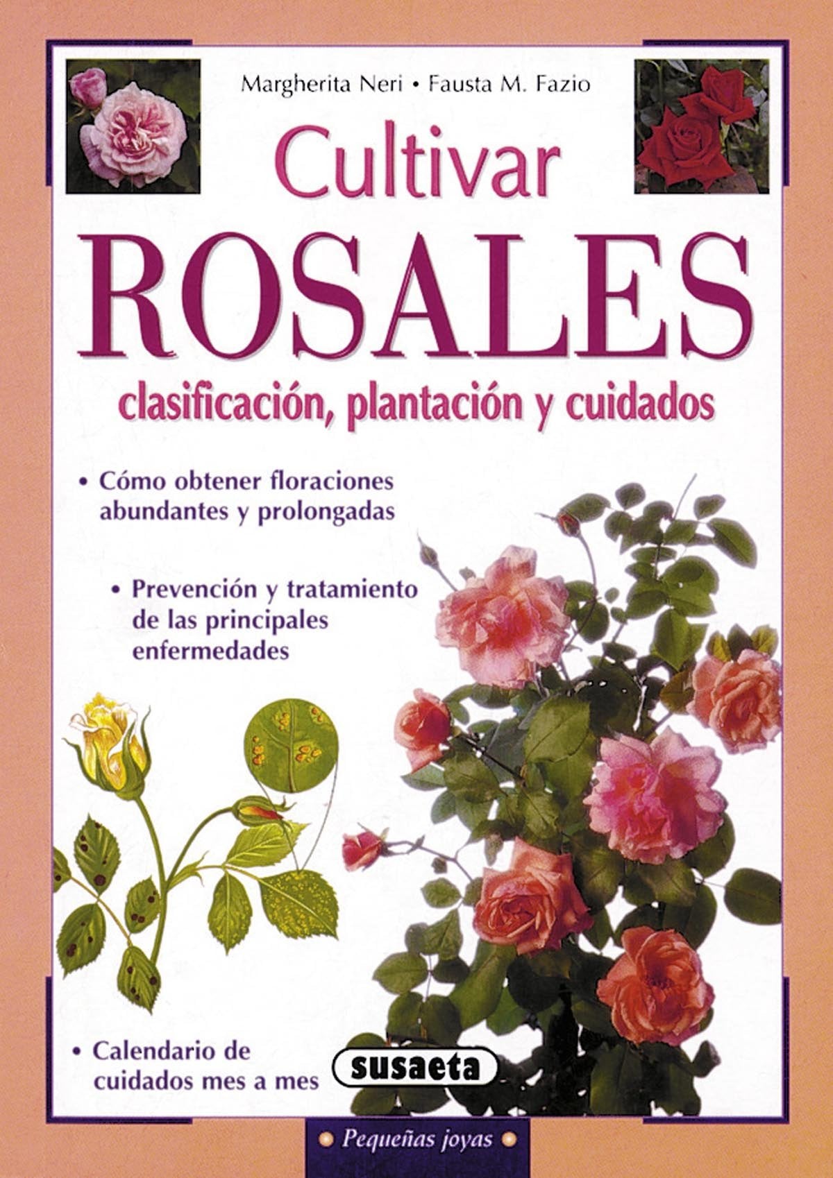 Cultivar rosales