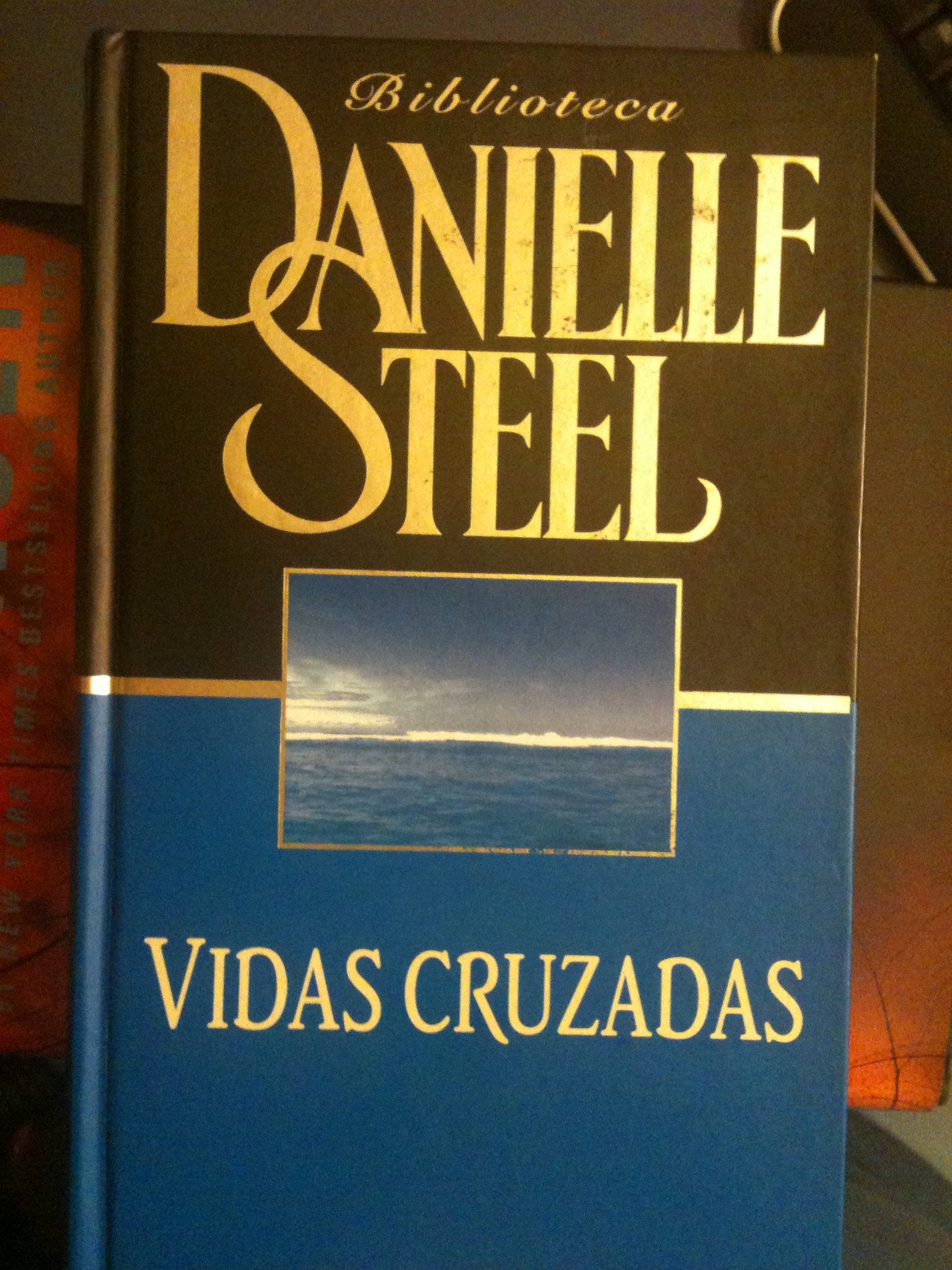Vidas Cruzadas