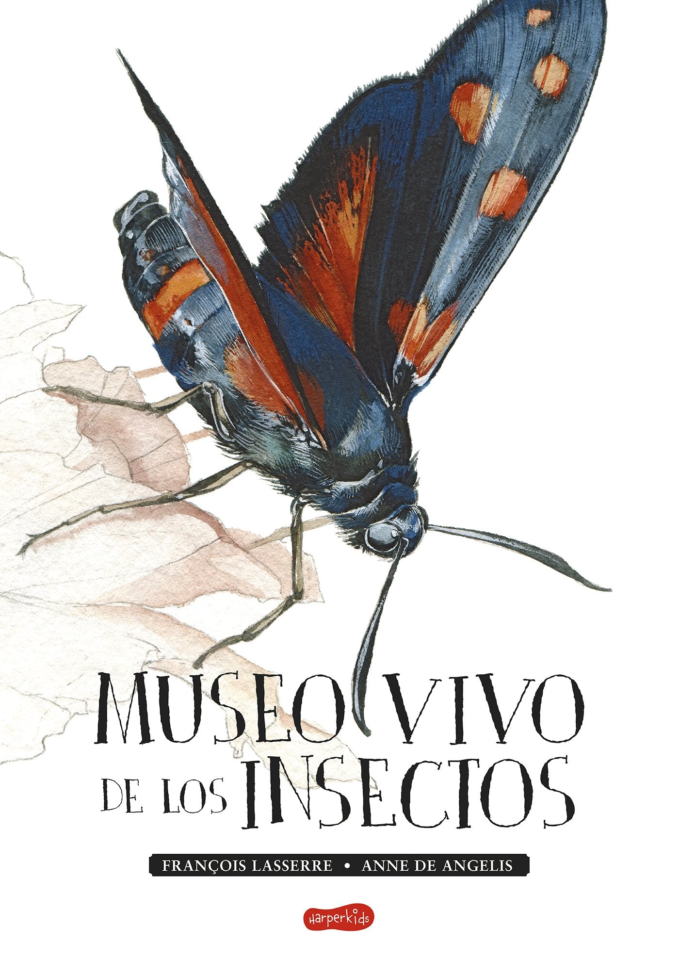 Museo vivo de los insectos: 17 (HARPERKIDS)