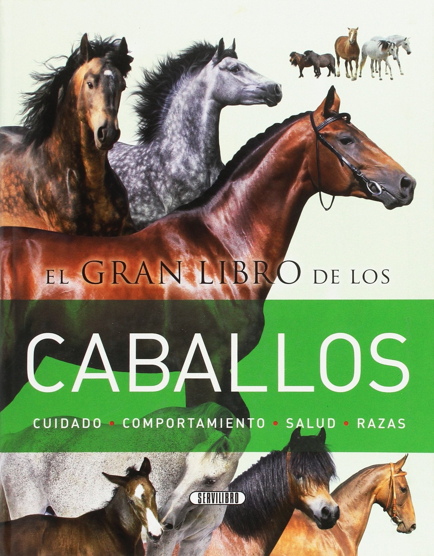 El gran libro de los caballos (SIN COLECCION)