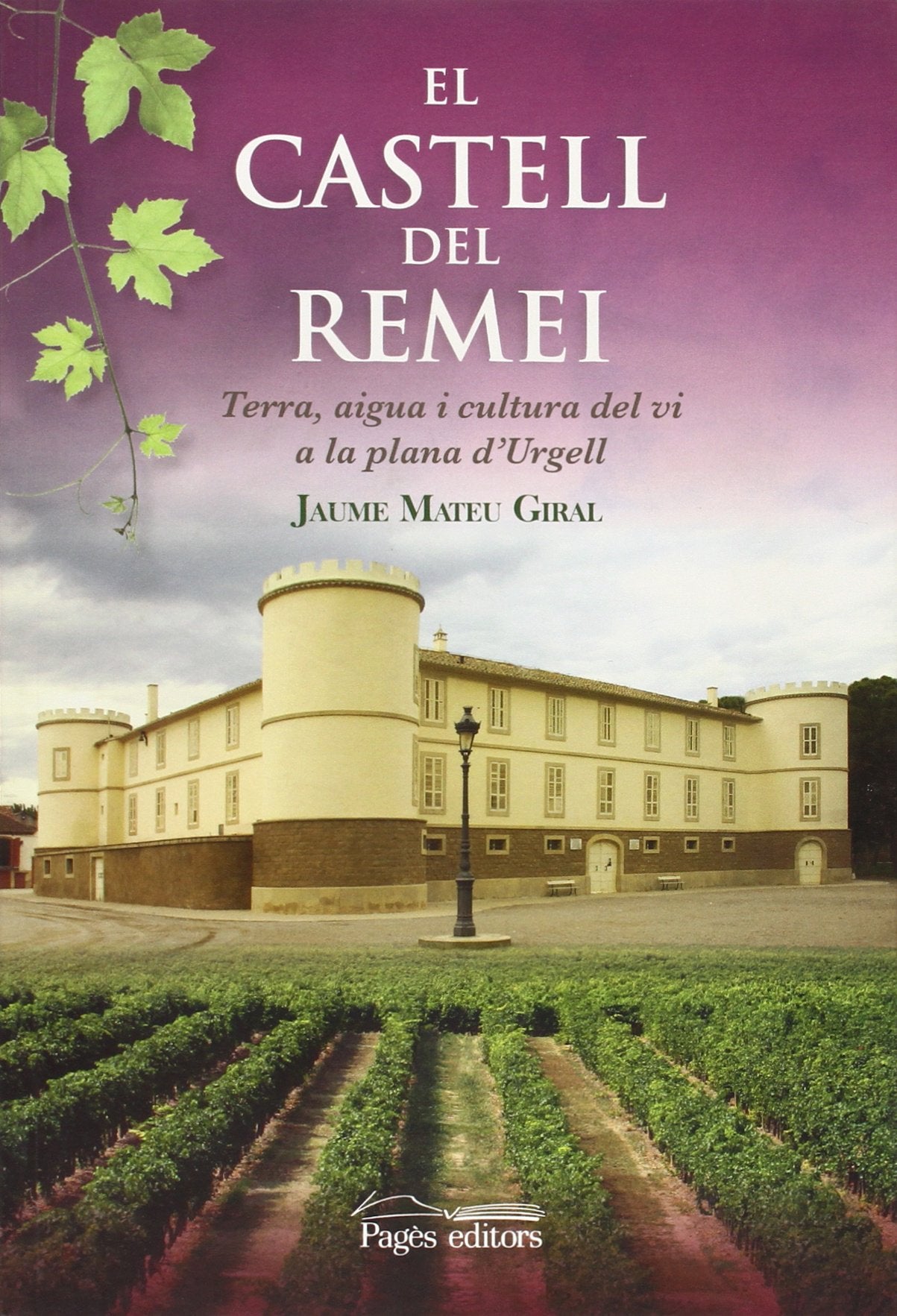 Castell del Remei, El (Visió)