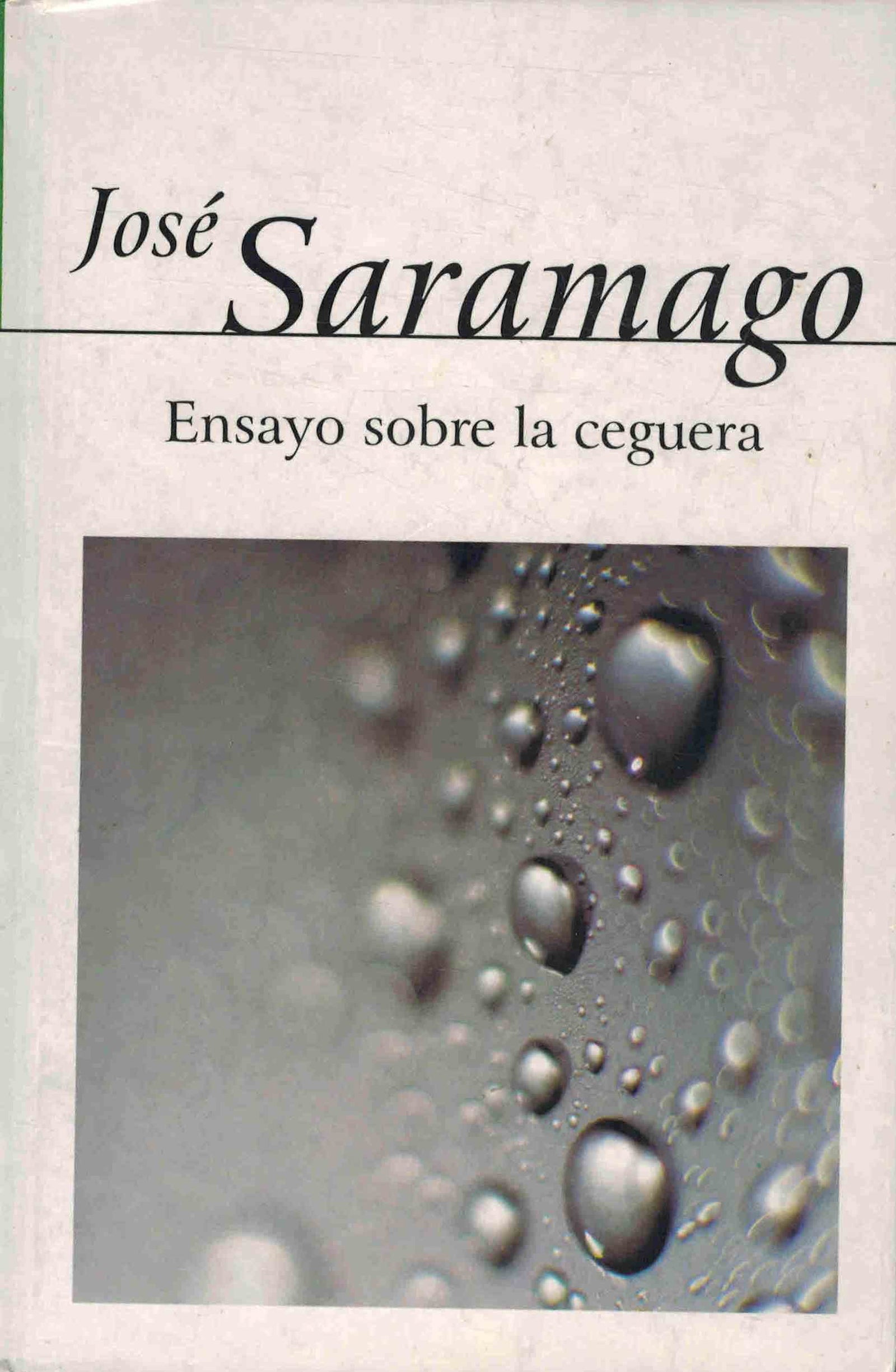 Ensayo sobre la ceguera