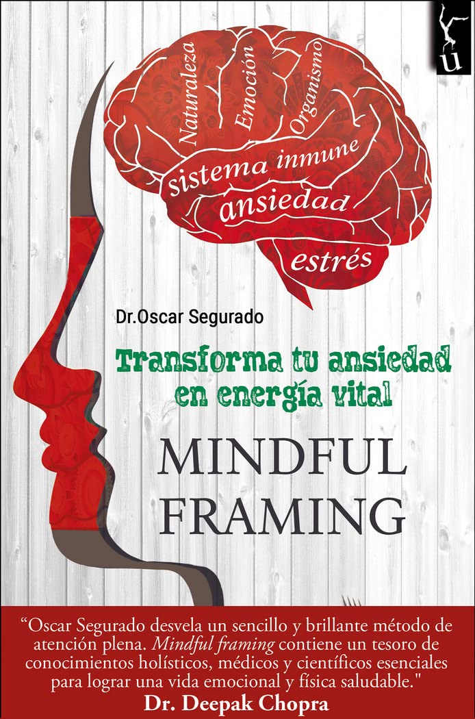 TRANSFORMA TU ANSIEDAD EN ENERGIA VITAL (LA EQUILIBRISTA)
