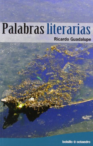 Palabras literarias: 20 (Bolsillo Octaedro)