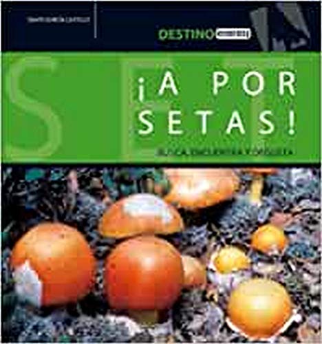 ¡A por setas!: Busca, encuentra y degusta (Destino)